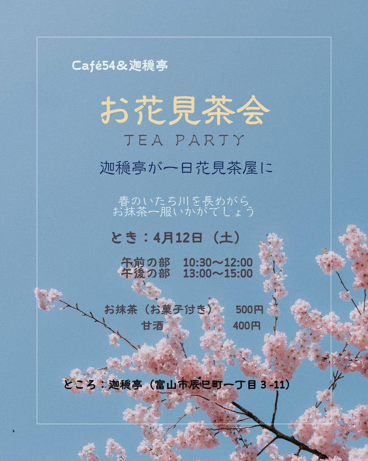 お花見茶会